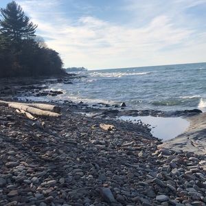 Meet your Posher, Carly